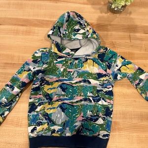 The North face sweatshirt